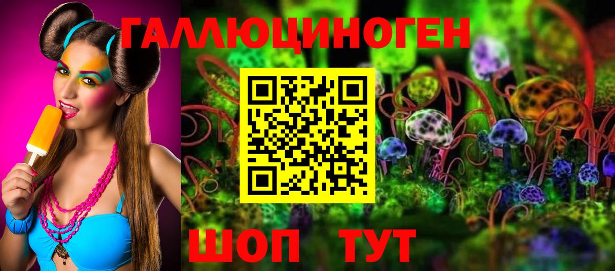 Галлюциногенные грибы Psilocybine cubensis Ирбит